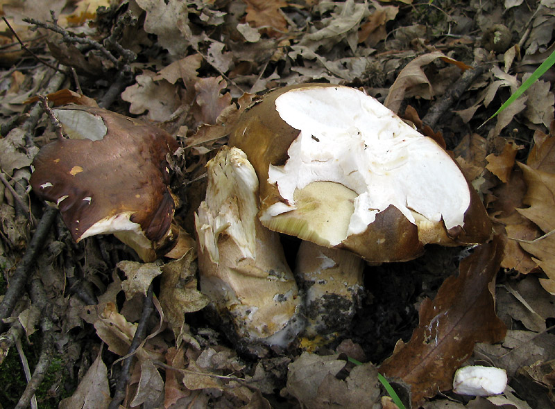 Un paio di giri nell''Appennino modenese