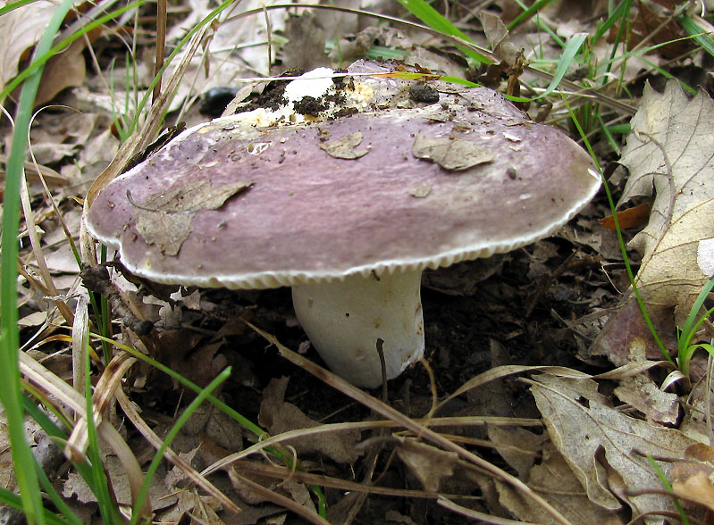 Un paio di giri nell''Appennino modenese