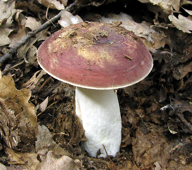 Un paio di giri nell''Appennino modenese