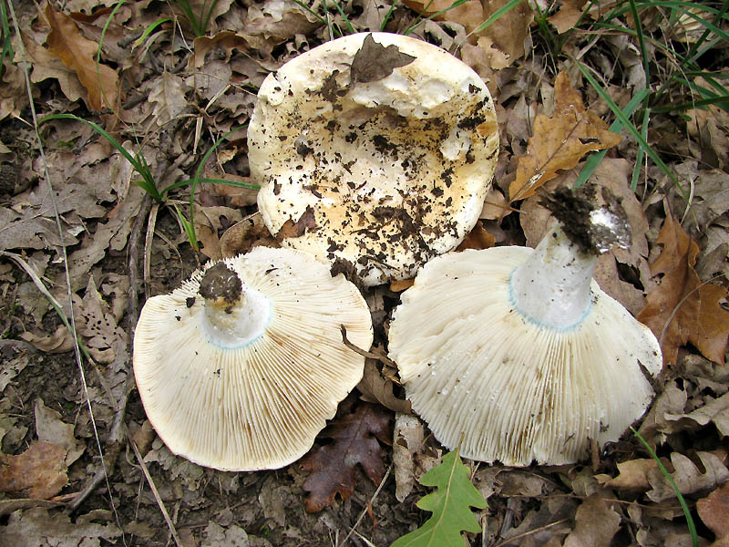 Un paio di giri nell''Appennino modenese