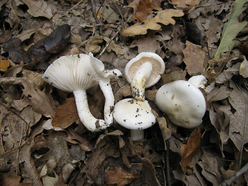 Un paio di giri nell''Appennino modenese