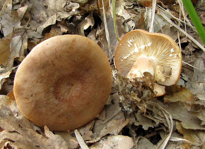 Un paio di giri nell''Appennino modenese