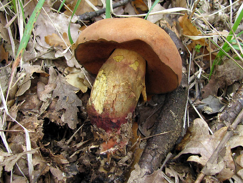 Un paio di giri nell''Appennino modenese