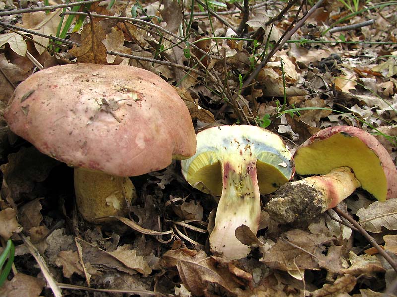 Un paio di giri nell''Appennino modenese