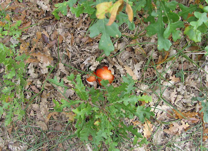 Un paio di giri nell''Appennino modenese