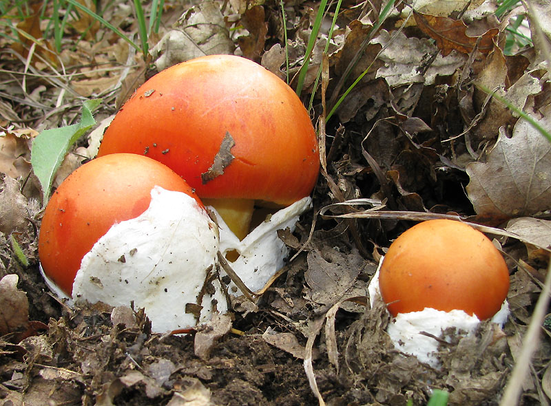 Un paio di giri nell''Appennino modenese