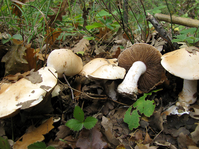 Un paio di giri nell''Appennino modenese