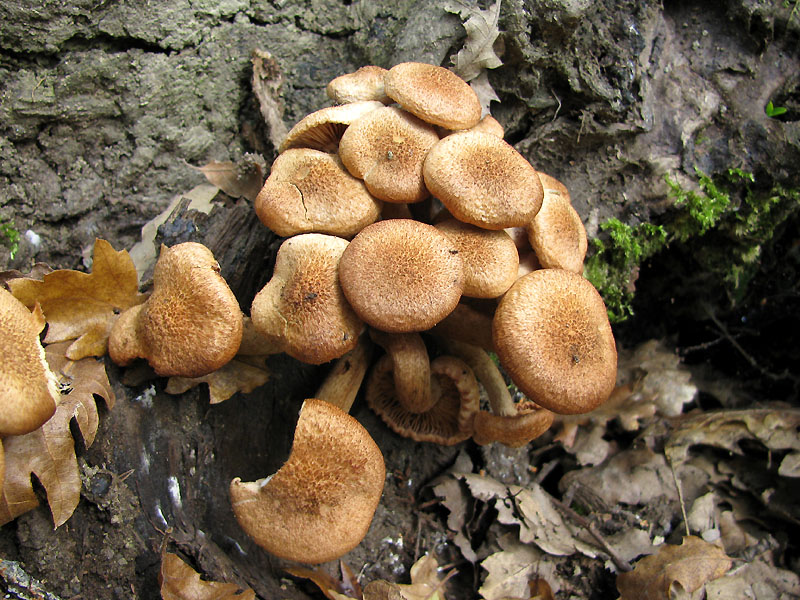 Un paio di giri nell''Appennino modenese