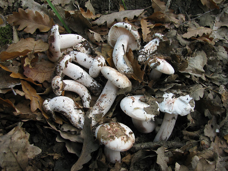 Un paio di giri nell''Appennino modenese