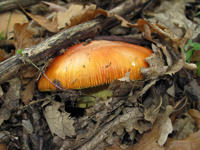 Un paio di giri nell''Appennino modenese