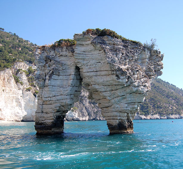 Sculture naturali