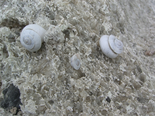 Serre di Ciminna (Palermo)