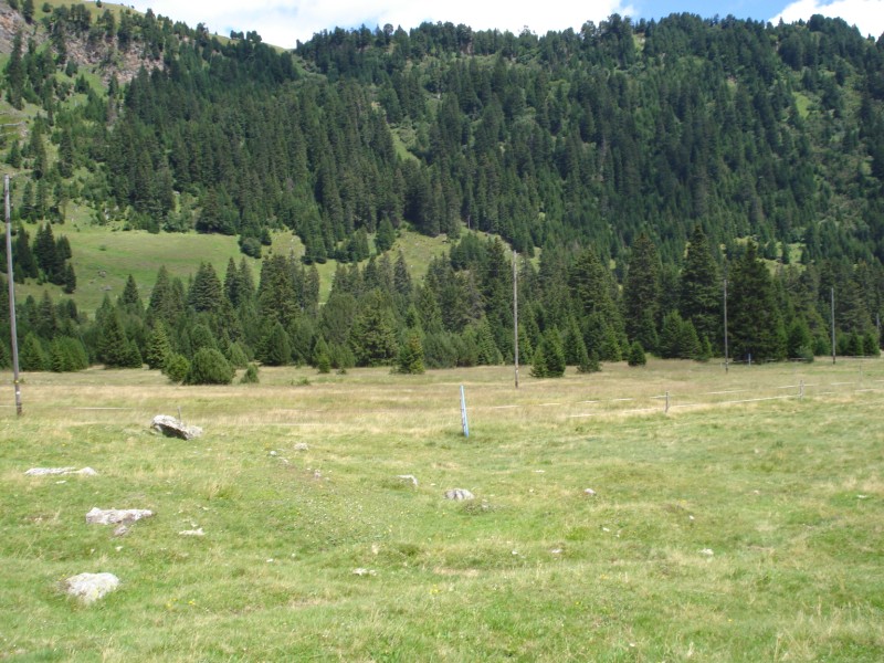 Torbiera di Pian Segno - Valle di Blenio -Svizzera