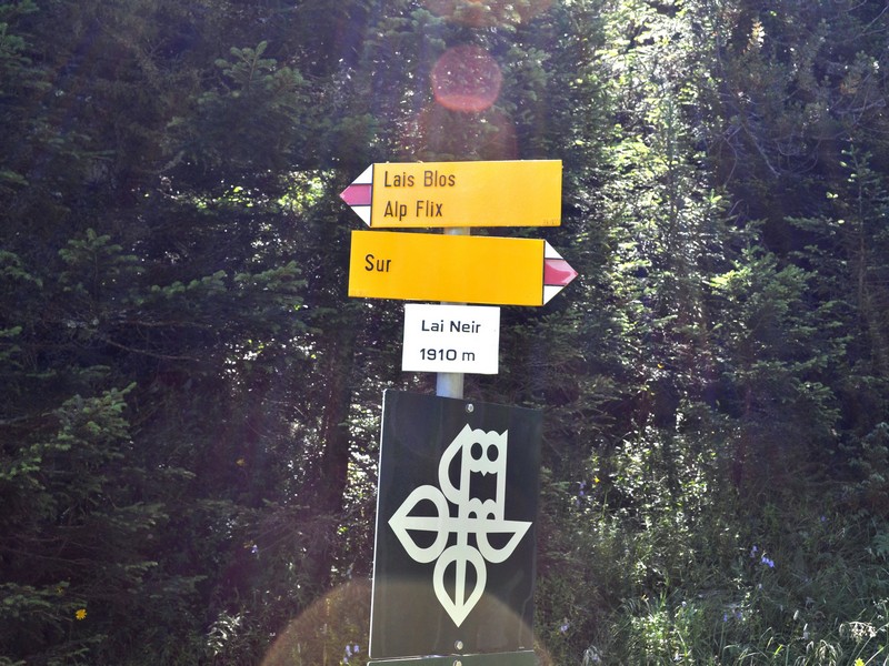 Escursione all''Alp Flix - Torbiera di Lai Neir (Svizzera)