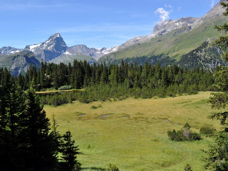Escursione all''Alp Flix - Torbiera di Lai Neir (Svizzera)