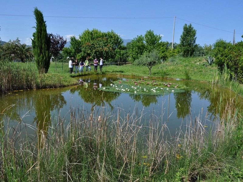 Bisogno di aiuto in Provincia di Ascoli