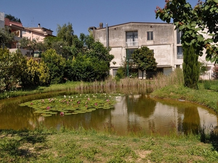 Bisogno di aiuto in Provincia di Ascoli