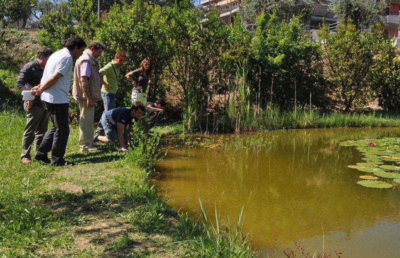 Bisogno di aiuto in Provincia di Ascoli