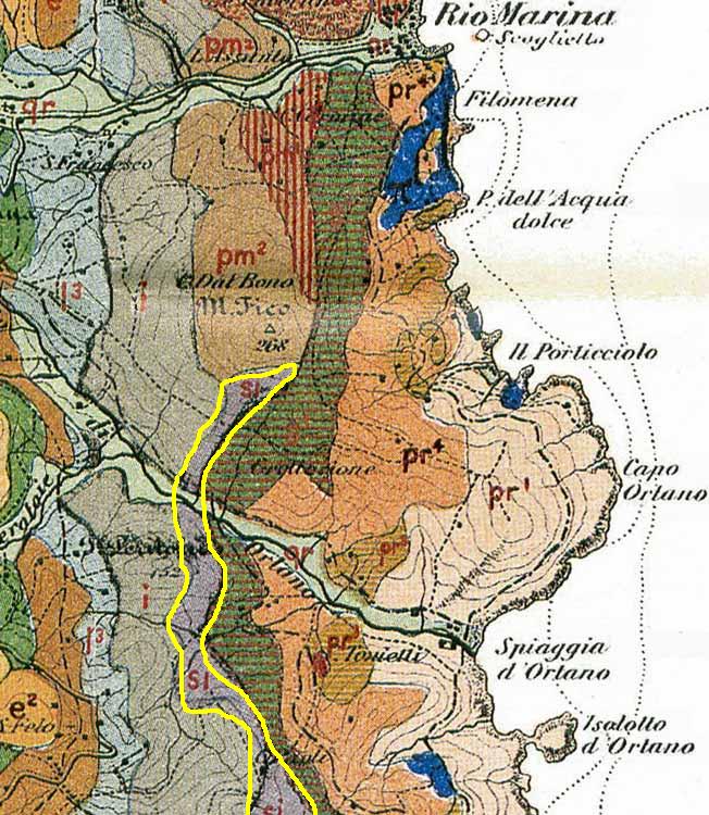 Ci sono fossili all''Elba?