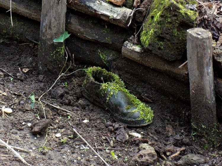 scarpa da naturalista