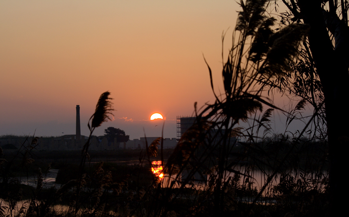 l''alba su vendicari