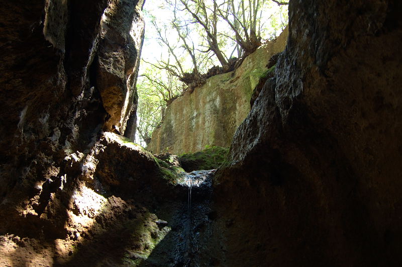 Nei pressi della necropoli di Cerveteri