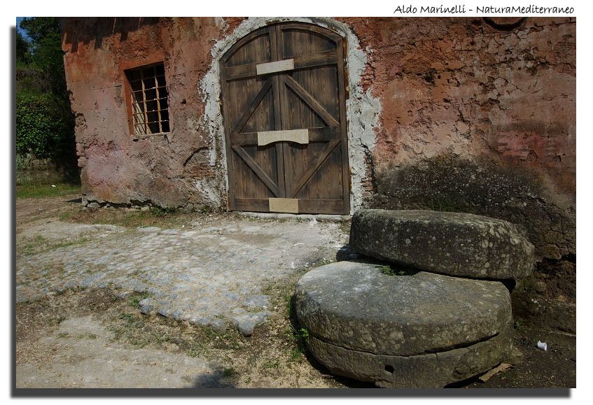 Il Parco di Vejo e Isola Farnese