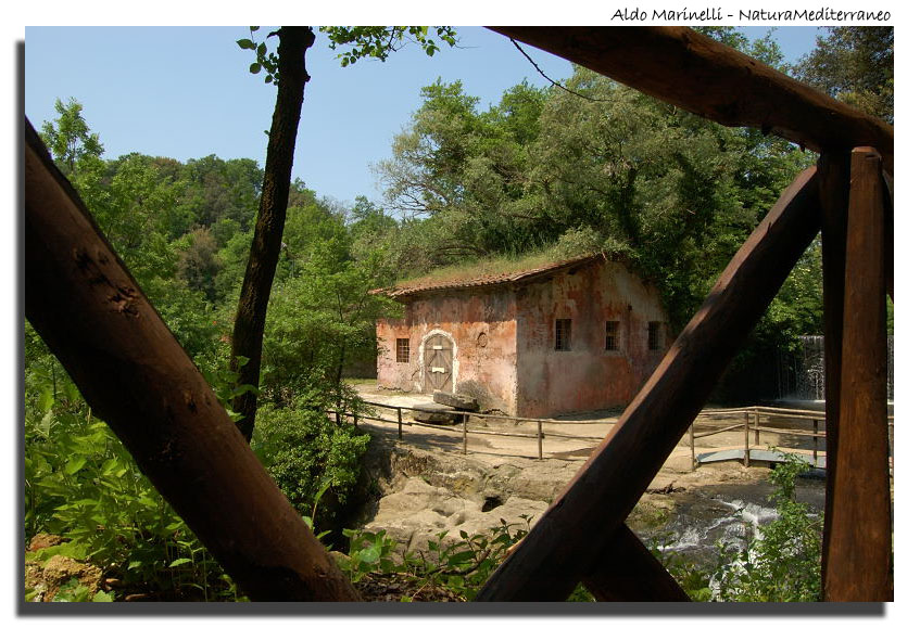 Il Parco di Vejo e Isola Farnese