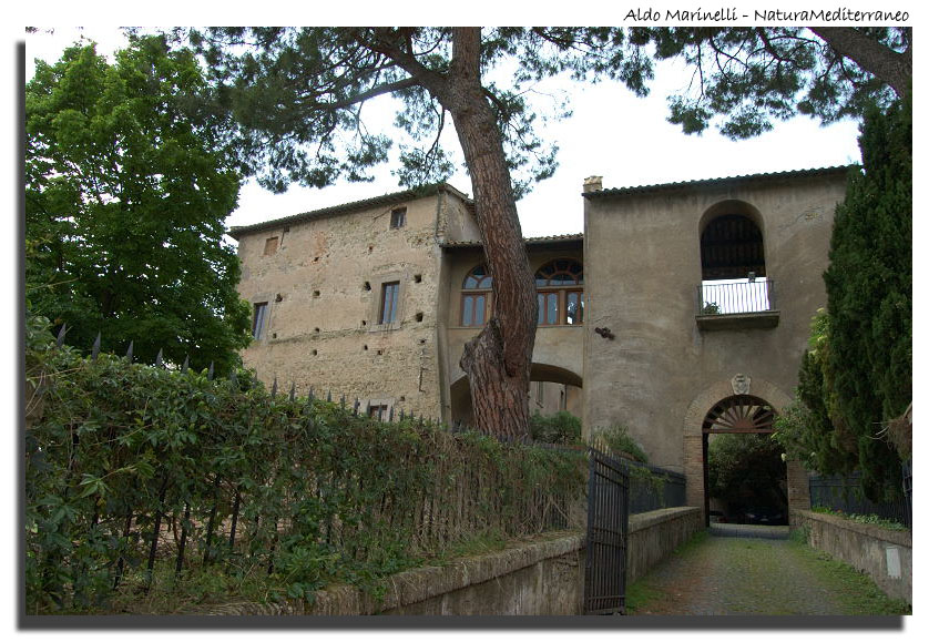 Il Parco di Vejo e Isola Farnese