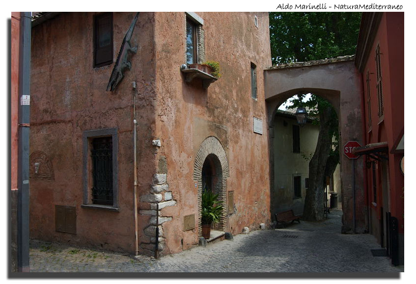 Il Parco di Vejo e Isola Farnese