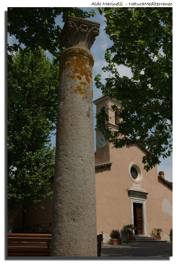 Il Parco di Vejo e Isola Farnese