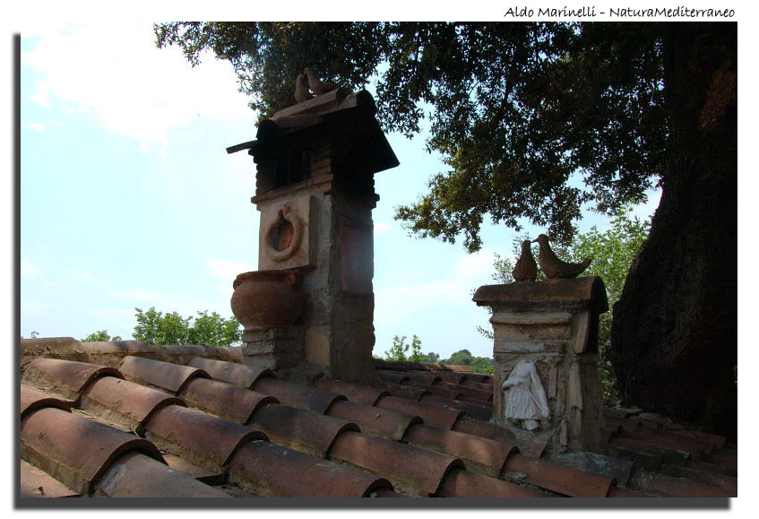 Il Parco di Vejo e Isola Farnese