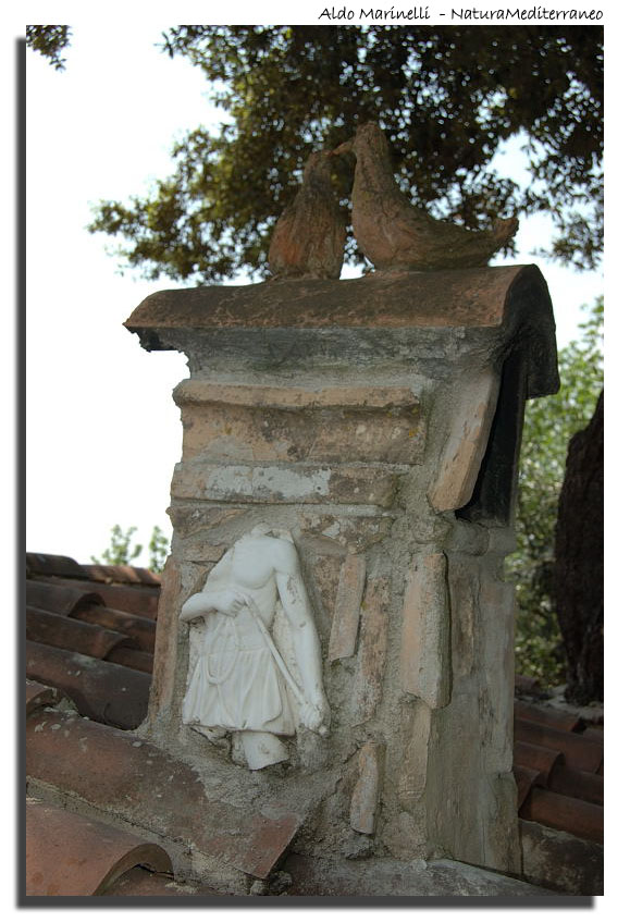 Il Parco di Vejo e Isola Farnese