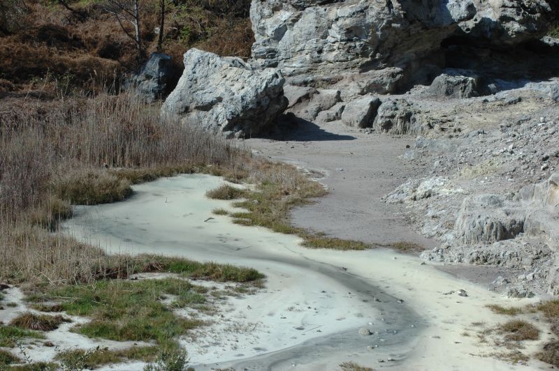 La Riserva Regionale di Tor Caldara, Anzio e Nettuno