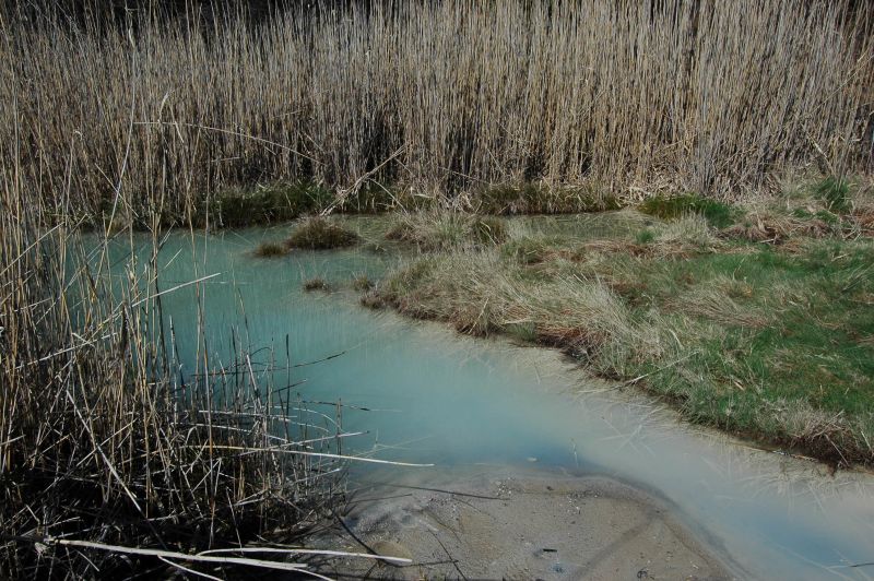 La Riserva Regionale di Tor Caldara, Anzio e Nettuno