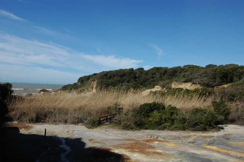 La Riserva Regionale di Tor Caldara, Anzio e Nettuno