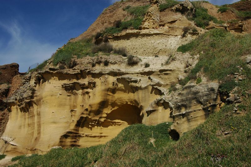 La Riserva Regionale di Tor Caldara, Anzio e Nettuno