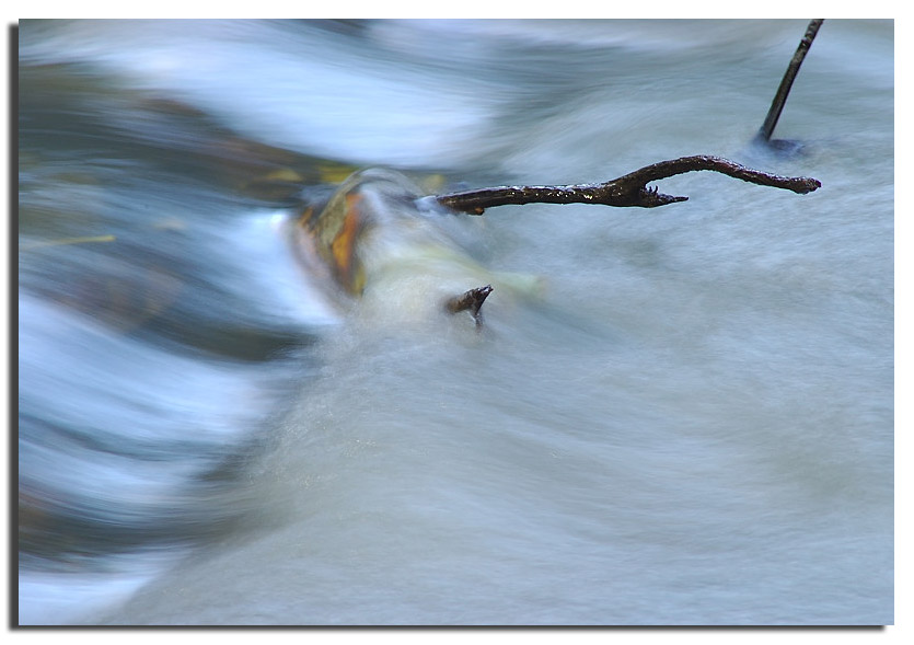 Dipingere con...l''acqua