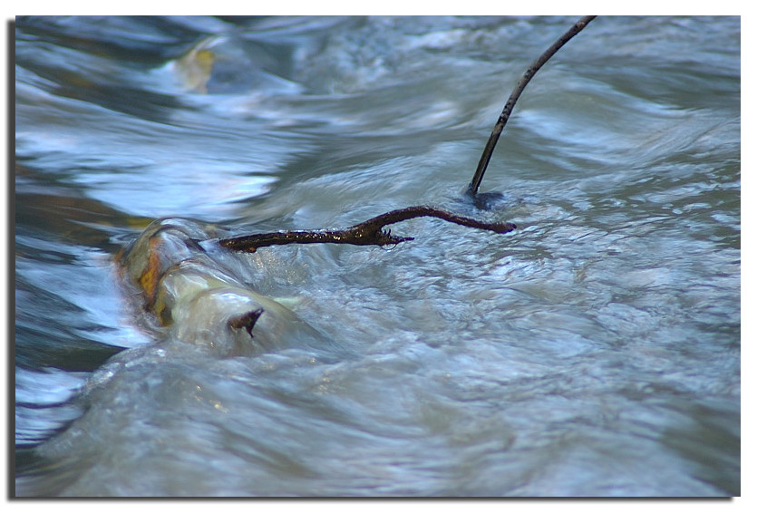 Dipingere con...l''acqua