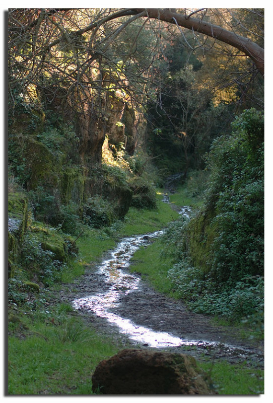 Nei pressi della necropoli di Cerveteri