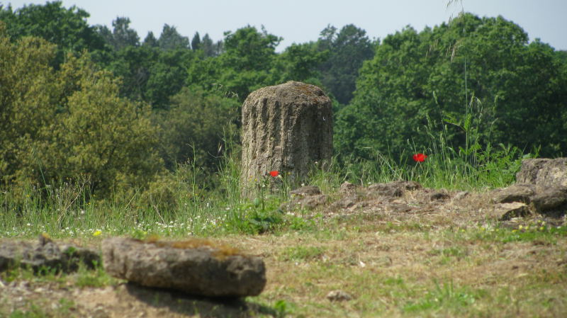 Il Parco di Vejo e Isola Farnese