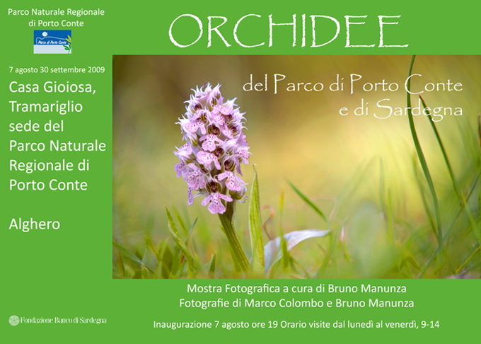 Esposizione di immagini sulle Orchidee della Sardegna