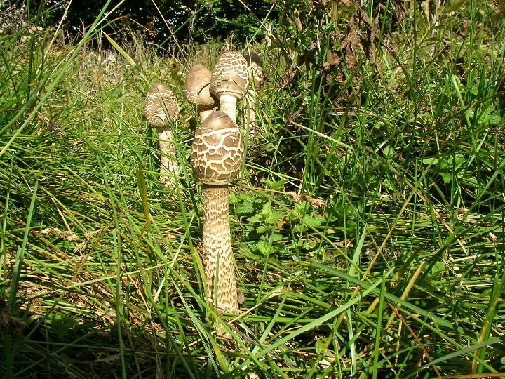 escursione appennino aretino