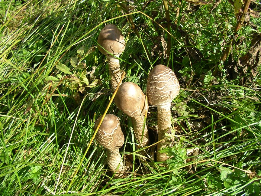 escursione appennino aretino