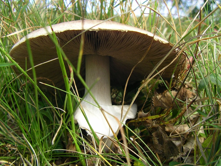 escursione appennino aretino