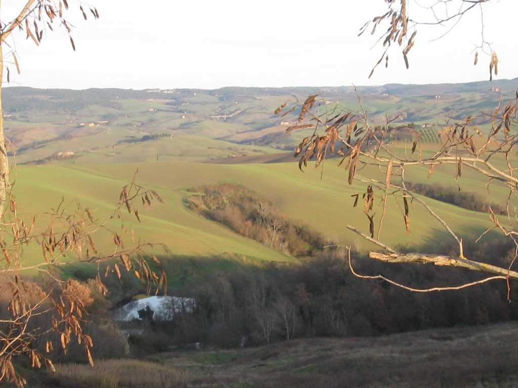 le crete senesi