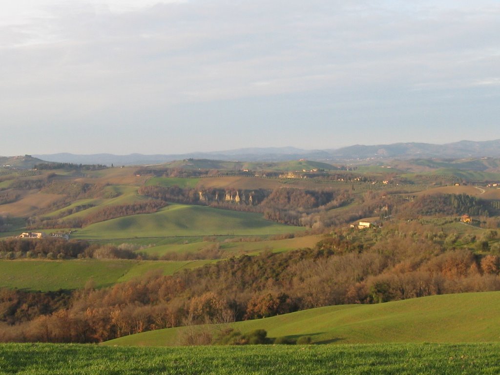 le crete senesi