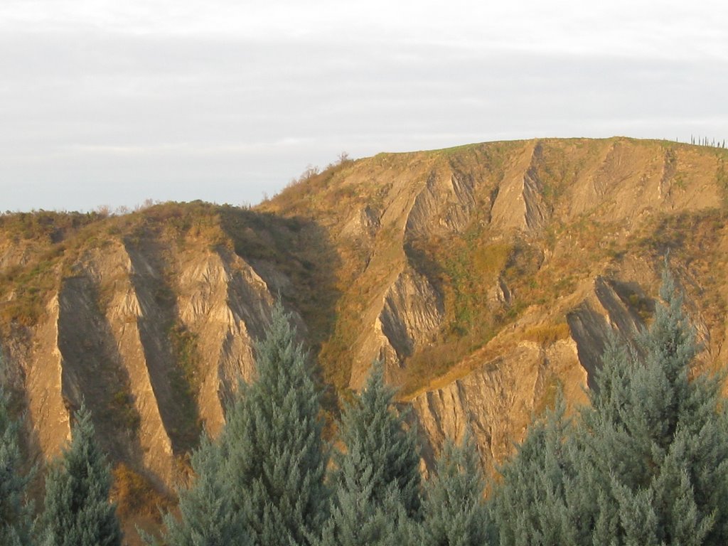 le crete senesi