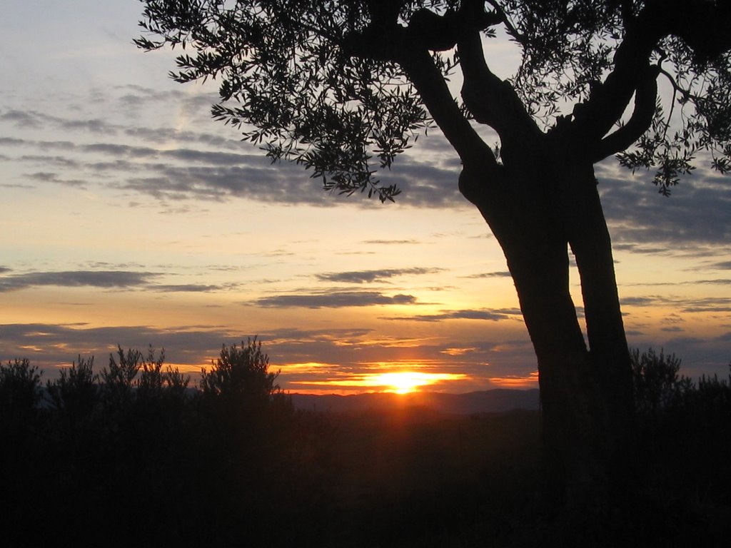 le crete senesi