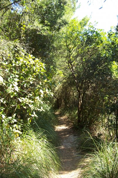 Monte Conero - Sentiero che porta la Passo del Lupo